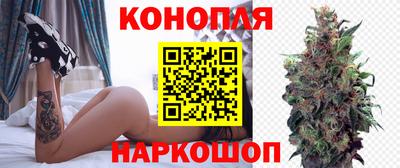 индика Ачхой-Мартан