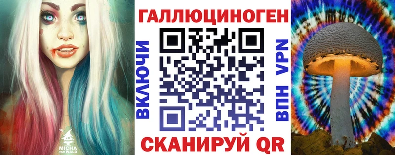 закладки  Владимир  кракен маркетплейс  Галлюциногенные грибы Magic Shrooms 