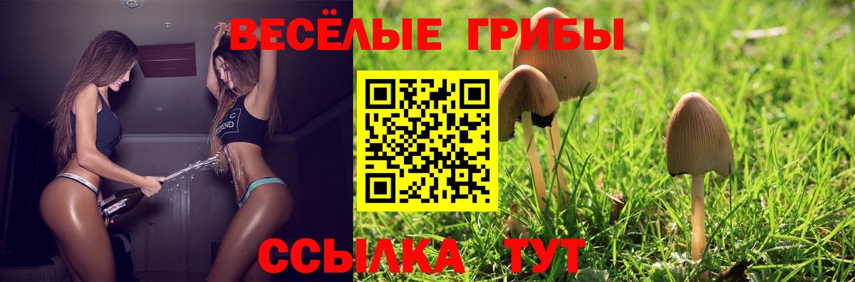 Владимир  Псилоцибиновые грибы Magic Shrooms  Вход с VPN  Псилоцибиновые грибы прущие грибы 